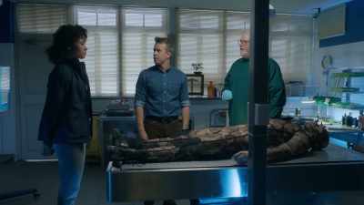 Someone who's
less afraid of prison - NCIS: Sydney