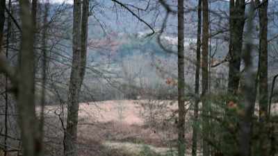 Someone whose livelihood - Blue Ridge