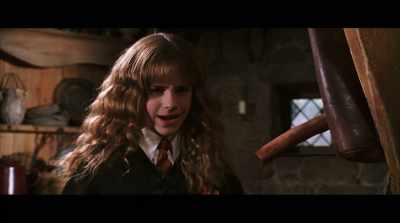 Someone with non-magic parents.
Someone like me. - Harry Potter 20th Anniversary: Return to Hogwarts