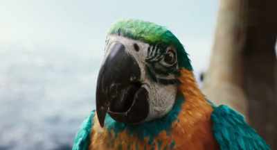Someone without feathers
or fur. - Dolittle