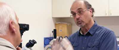 Something that does not give us an old fossil, such as weaving, - Is Genesis History?