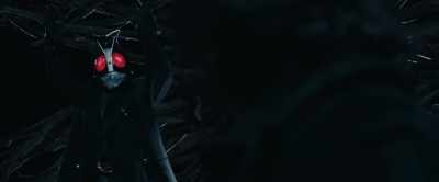 Something doesn't feel quite right,
but my orders are to defeat you. - Shin Kamen Rider