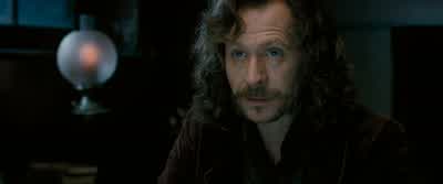 Something he didn't have last time. - Harry Potter and the Order of the Phoenix