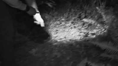 Something here has been
turned over - Expedition Bigfoot