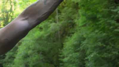   Something just moved
  on that ridgeline. - Expedition Bigfoot