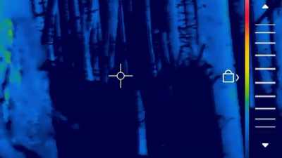 Something is still
moving towards me. - Expedition Bigfoot