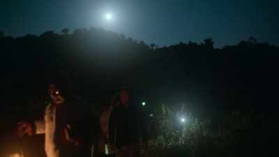 Something stirs at the edge of the forest. - The Year Earth Changed