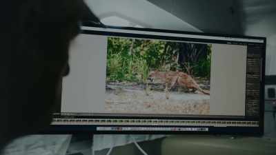 Something that we've put out
into nature. - Path of the Panther