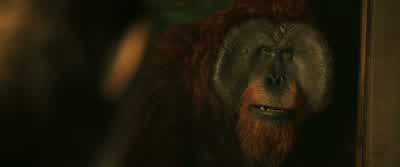 Something wrong with her. - War for the Planet of the Apes