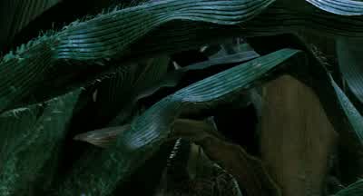 Something's very weird here. - Honey, I Shrunk the Kids