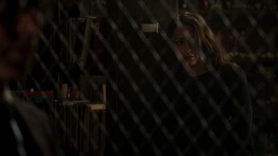 Somethings wrong
with your attack dog. - Person of Interest