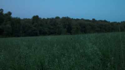 Sometime, I think it was
around 9:00 that night, - FBI TRUE