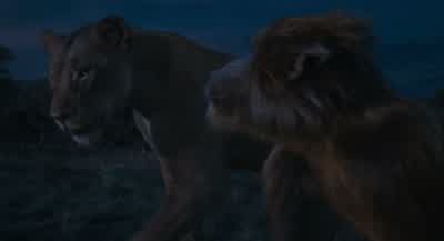 Sometimes a dream is all you haveThe only truth that lives in you - Mufasa: The Lion King