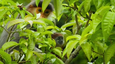 'Sometimes, a mum has to let go. - A Year on Planet Earth