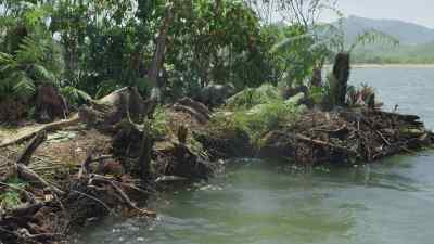 Sometimes, castaways on rafts like these - Prehistoric Planet