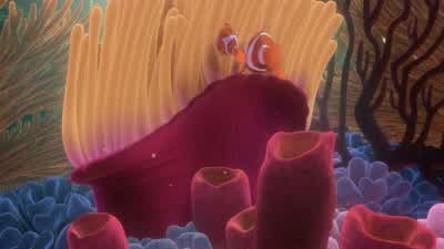 Sometimes fluid is rushing to the area. - Finding Nemo