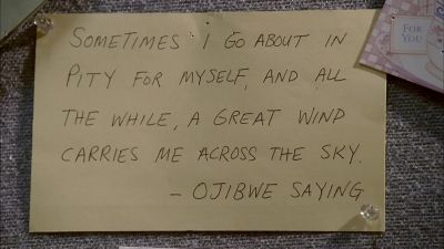 "Sometimes I go about
in pity for myself, - The Sopranos