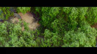 Sometimes, in spite of the uncertainty, - The Biggest Little Farm: The Return