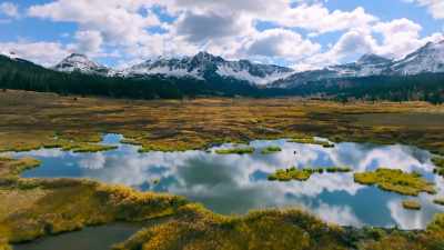 Sometimes it's easier to restore
an old property. - The Secret Lives of Animals