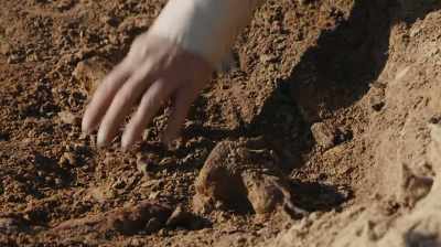 SOMETIMES ON THESE DIGS, - Dino Hunters