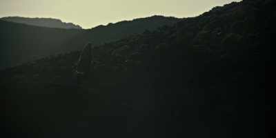 Sometimes our call
is the result of struggle. - Testament: The Story of Moses