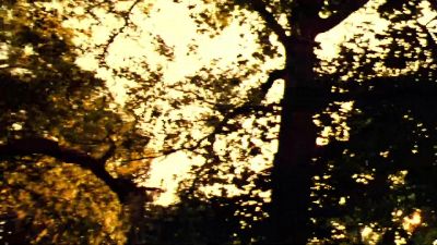 Sometimes the people we meet change us forever - Forces of Nature