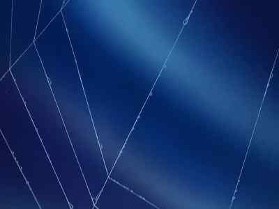 ♪ Sometimes when
Somebody loves you ♪ - Charlotte's Web