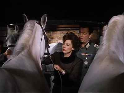 Sometimes you're so stubborn. 
- You taught me. - Miracle of the White Stallions