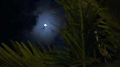Somewhere between 11:00
and midnight that night, - Floribama Murders