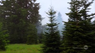 Somewhere in a
five-mile radius in this? - The Librarians