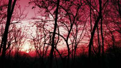 SOMEWHERE OUT THERE, - Bloodlands