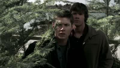 Son of a bitch. - Supernatural
