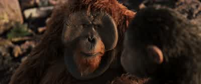 Son... will know... who... was... father. - War for the Planet of the Apes