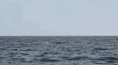 [ sonar pinging ] - Mysteries of the Deep