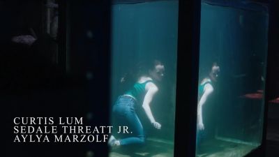 [song continuing] - Siren