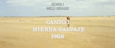 SONG I
WILD GRASS - Birds of Passage