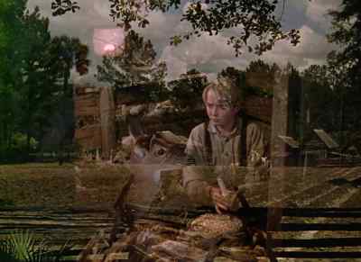 Soon as I get the corn planted
you're gonna get shut - The Yearling