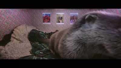 Soon Molly's
cub would be going - Billy & Molly: An Otter Love Story