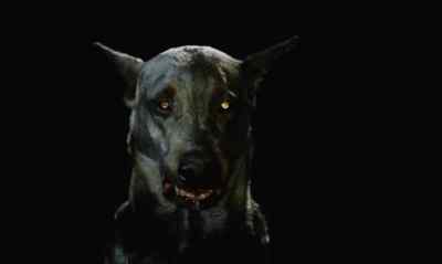 Soon, zoltan. You must be patient. - Dracula's Dog