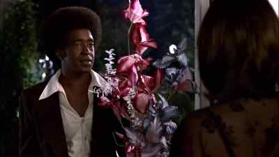 Sorry about that I brought you some flowers - The Ladies Man