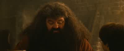 Sorry, but what's curious? - Harry Potter and the Philosopher's Stone