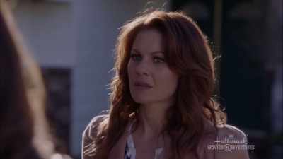 Sorry. "Chief." - A Bundle of Trouble: An Aurora Teagarden Mystery
