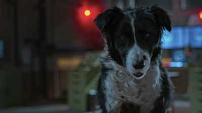- Sorry. Couldn't help myself.
- Hello? Hello? - Cats & Dogs 3: Paws Unite