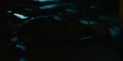 Sorry, girl. - Jurassic World: Dominion