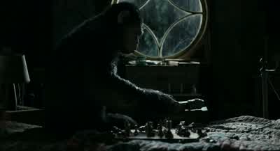 Sorry. I didn't mean to intrude. - Dawn of the Planet of the Apes