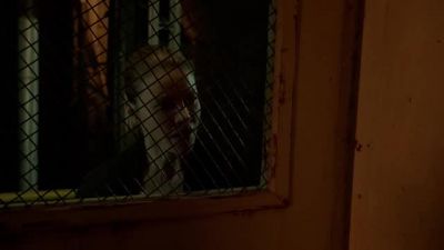 Sorry, but I gave my word... no police. - Lucifer