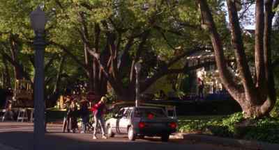 Sorry, Maple Drive's closed.
You'll have to use the detour. - Father of the Bride Part II