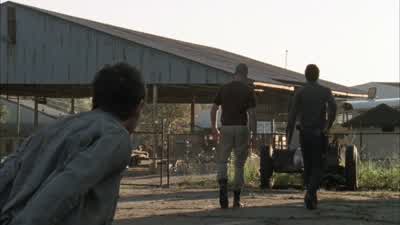 Sorry. Oh. The hell is this? - The Walking Dead