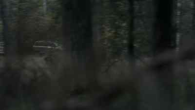 Sorry. - Wallander