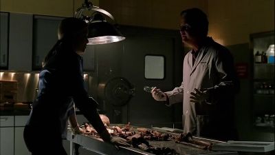                         Sorry. - CSI: Crime Scene Investigation